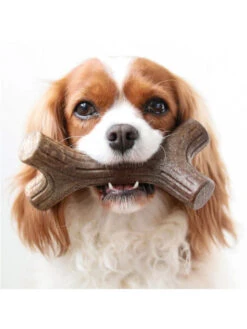 Jouet à Mâcher Stick Benebone