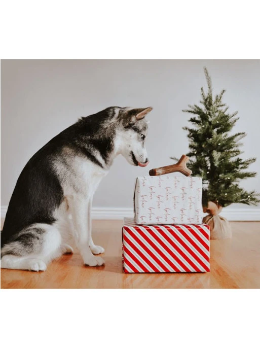 Jouet à Mâcher Stick Benebone 4 Jouet à Mâcher Stick Benebone – Image 4