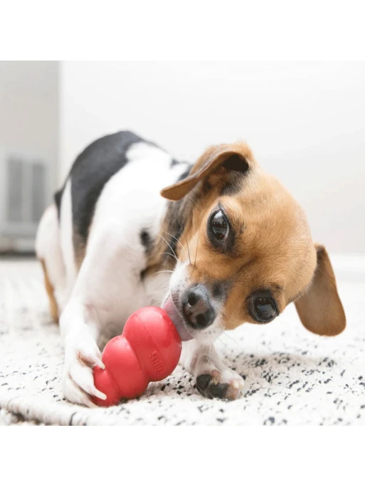 Jouet Classic Kong 2 Jouet Classic Kong – Image 2