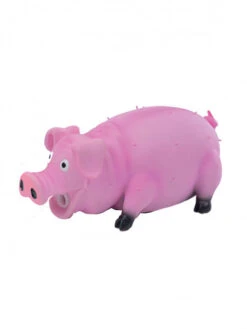 Jouet En Latex Pour Chien Cochon Vadigran