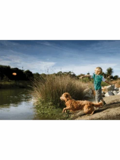 Kurgo Jouet Flottant - SKIPPING TONES Lot De 2 11 Kurgo Jouet Flottant - SKIPPING TONES Lot De 2 -Nature Dog Promos Boutique jouet flottant skipping tones lot de 2 5