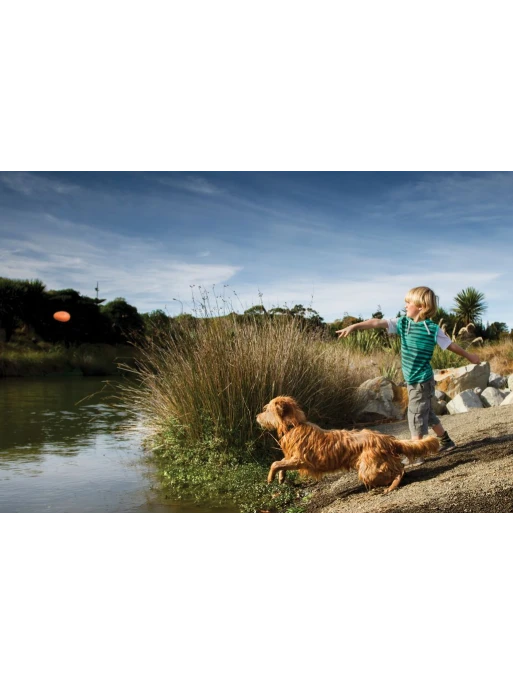 Kurgo Jouet Flottant - SKIPPING TONES Lot De 2 6 Kurgo Jouet Flottant - SKIPPING TONES Lot De 2 – Image 6