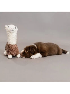 Jouet Pour Chien Alpaga Alfredo Kentucky 7 Jouet Pour Chien Alpaga Alfredo Kentucky -Nature Dog Promos Boutique jouet pour chien alpaga alfredo kentucky 3