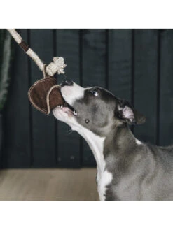 Jouet Pour Chien Cotton Rope Baseball Kentucky -Nature Dog Promos Boutique jouet pour chien cotton rope baseball kentucky 2