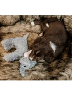 Jouet Pour Chien Elephant Elsa Kentucky 7 Jouet Pour Chien Elephant Elsa Kentucky -Nature Dog Promos Boutique jouet pour chien elephant elsa kentucky 3