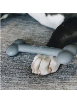 Jouet Pour Chien En Silicone Kentucky