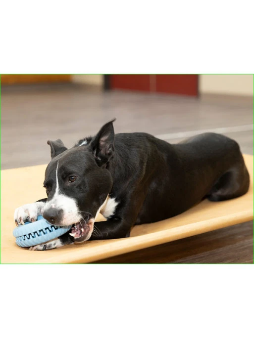 Jouet Snapper Trapper Tire Starmark 2 Jouet Snapper Trapper Tire Starmark – Image 2