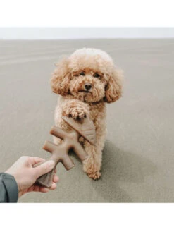 Jouets à Mâcher X2 Fishbone Petits Chiens Benebone -Nature Dog Promos Boutique jouets a macher x2 fishbone petits chiens benebone chien 3