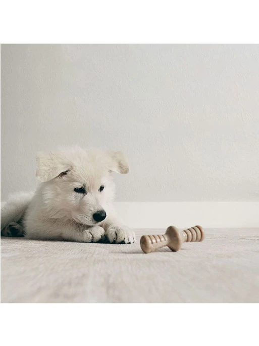 Jouets à Mâcher X2 Maplestick Et Zaggler Chiot Benebone 2 Jouets à Mâcher X2 Maplestick Et Zaggler Chiot Benebone – Image 2