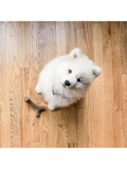 Jouets à Mâcher X2 Maplestick Et Zaggler Petit Chien Benebone 7 Jouets à Mâcher X2 Maplestick Et Zaggler Petit Chien Benebone -Nature Dog Promos Boutique jouets a macher x2 maplestick zaggler petit chien benebone 3