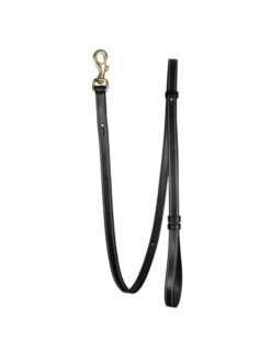 Laisse Ajustable Pour Chien Dy'on