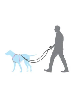 Laisse Anti-traction Easy Walk Petsafe -Nature Dog Promos Boutique laisse anti traction easy walk petsafe 3