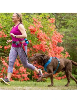 Laisse De Traction Springback Kurgo