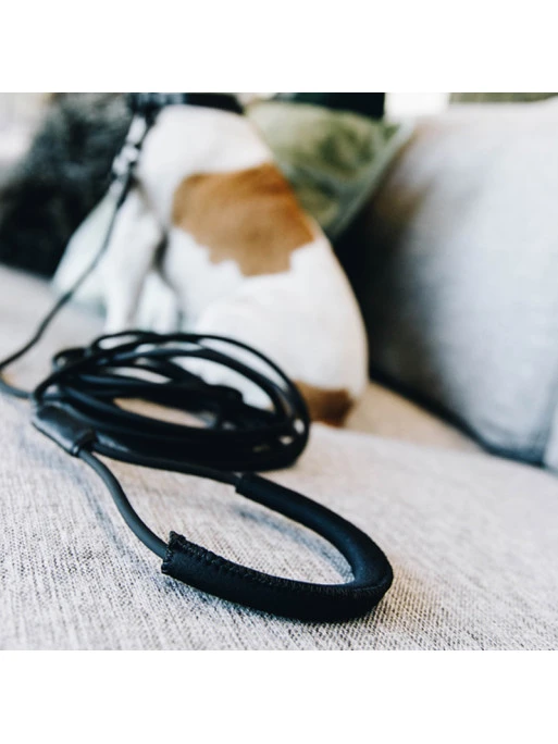 Laisse D’entraînement Pour Chien En Caoutchouc Souple Kentucky 1 Laisse D’entraînement Pour Chien En Caoutchouc Souple Kentucky