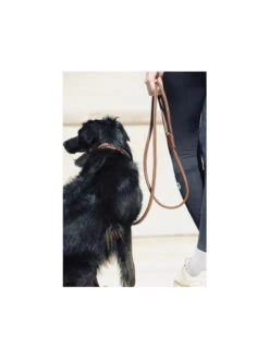 PÉNÉLOPE Laisse En Cuir Rond Pénélope 8 PÉNÉLOPE Laisse En Cuir Rond Pénélope -Nature Dog Promos Boutique laisse en cuir rond penelope 3