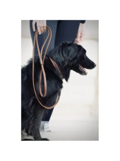 PÉNÉLOPE Laisse En Cuir Rond Pénélope 9 PÉNÉLOPE Laisse En Cuir Rond Pénélope -Nature Dog Promos Boutique laisse en cuir rond penelope 4