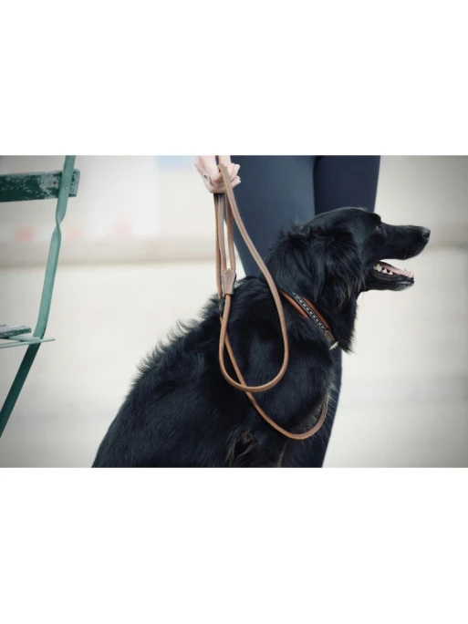 PÉNÉLOPE Laisse En Cuir Rond Pénélope 1 PÉNÉLOPE Laisse En Cuir Rond Pénélope