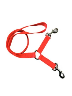 Laisse En Nylon 2 Mousquetons