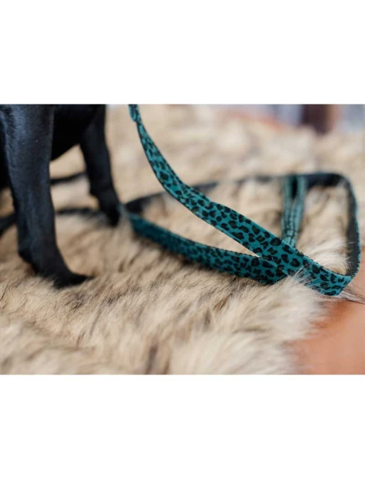 Laisse Léopard Kentucky 2 Laisse Léopard Kentucky – Image 2