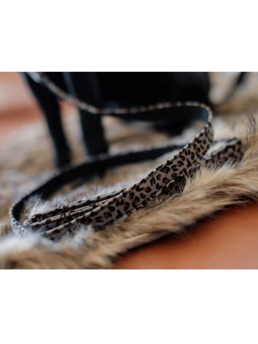 Laisse Léopard Kentucky 4 Laisse Léopard Kentucky – Image 4