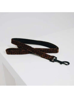 Laisse Léopard Kentucky 10 Laisse Léopard Kentucky -Nature Dog Promos Boutique laisse leopard kentucky 4