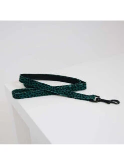Laisse Léopard Kentucky 11 Laisse Léopard Kentucky -Nature Dog Promos Boutique laisse leopard kentucky 5