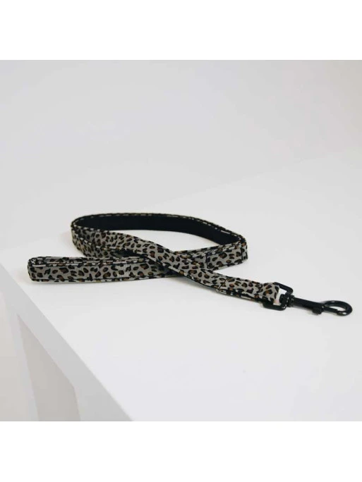 Laisse Léopard Kentucky 1 Laisse Léopard Kentucky