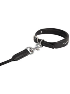 Laisse Pour Chien Antarès -Nature Dog Promos Boutique laisse pour chien antares 2