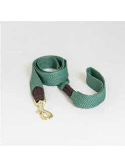 Laisse Pour Chien Jacquard Kentucky