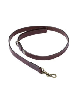 Laisse Pour Chien Le Chameau