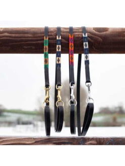 Laisse Pour Chien Polo HFI