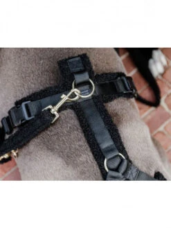 Laisse Pour Chien Teddy Fleece Large 2m Kentucky