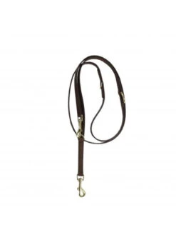 Laisse Pour Chien Velvet Kentucky