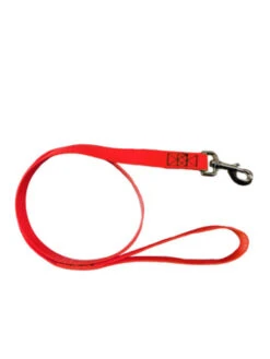 Laisse Textile Plat 1m20