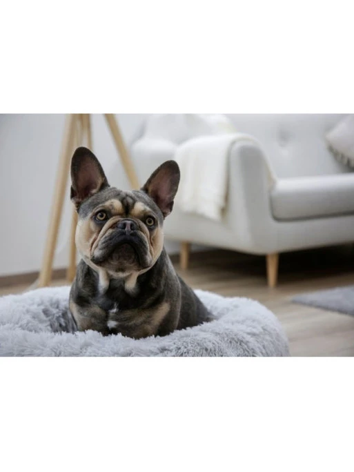 Lit Pour Chien Fluffy 76x19 cm Kerbl 2 Lit Pour Chien Fluffy 76x19 cm Kerbl – Image 2