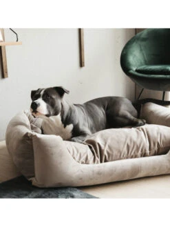 Lit Pour Chien Velvet Kentucky -Nature Dog Promos Boutique lit pour chien velvet kentucky 2