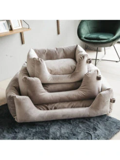 Lit Pour Chien Velvet Kentucky