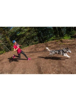 Longe De Traction Raidlight I-Dog 7 Longe De Traction Raidlight I-Dog -Nature Dog Promos Boutique longe de traction raidlight i dog 2