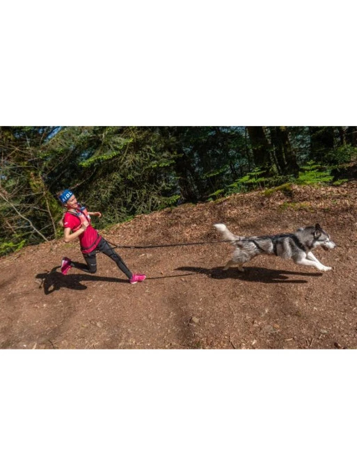 Longe De Traction Raidlight I-Dog 3 Longe De Traction Raidlight I-Dog – Image 3