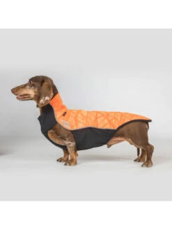 Pull Pour Chien Eddie Haute Visibilité Back On Track -Nature Dog Promos Boutique manteau chien queue haute bark back on track 2