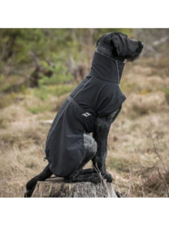 Manteau Polyvalent Pour Chien Bark Back On Track -Nature Dog Promos Boutique manteau polyvalent pour chien bark back on track 3