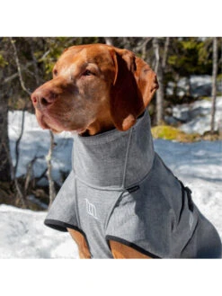 Manteau Pour Chien Queue Basse Nella Back On Track