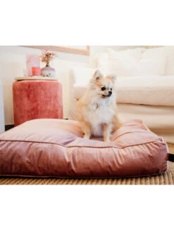 Matelas Pour Chien Velvet Kentucky