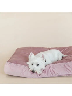 Matelas Pour Chien Velvet Kentucky -Nature Dog Promos Boutique matelas pour chien velvet kentucky 6