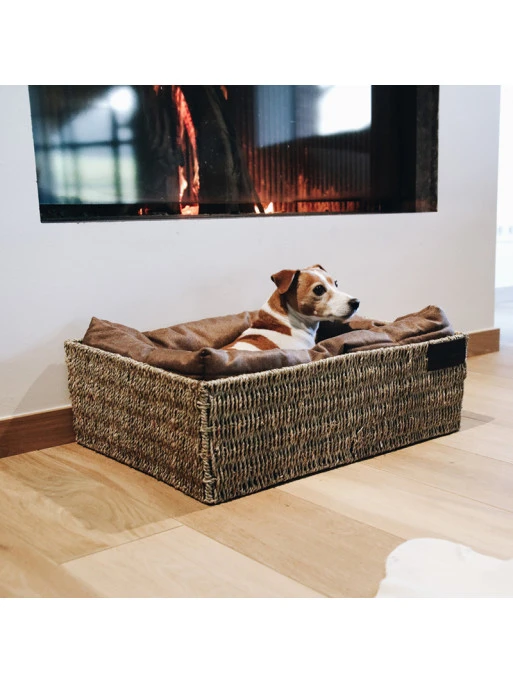 Panier Pour Chien Basket Kentucky 4 Panier Pour Chien Basket Kentucky – Image 4