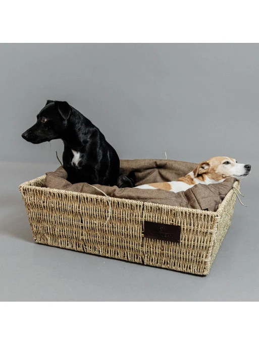 Panier Pour Chien Basket Kentucky 1 Panier Pour Chien Basket Kentucky