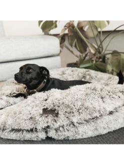 Panier Pour Chien Confort Donut Kentucky -Nature Dog Promos Boutique panier pour chien confort donut kentucky 2