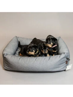 Panier Pour Chien Soft Sleep Kentucky -Nature Dog Promos Boutique panier pour chien soft sleep kentucky 2