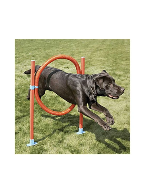 Rosewood Pneu Agility Garden 1 Rosewood Pneu Agility Garden