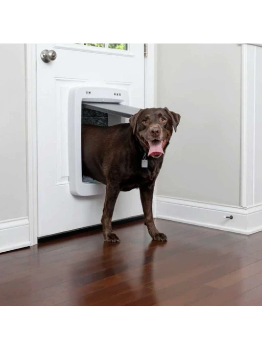 Porte Connectée SmartDoor Petsafe 2 Porte Connectée SmartDoor Petsafe – Image 2